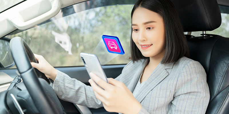 Bằng lái xe hết hạn